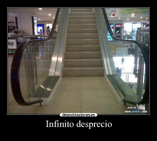 Infinito desprecio -