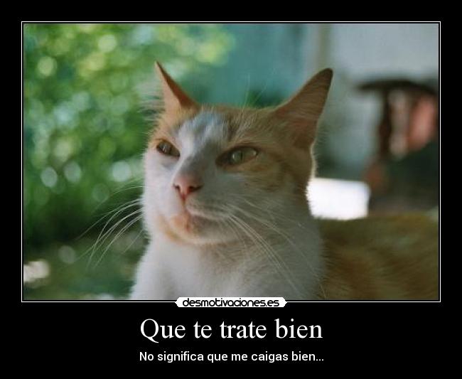 Que te trate bien - 