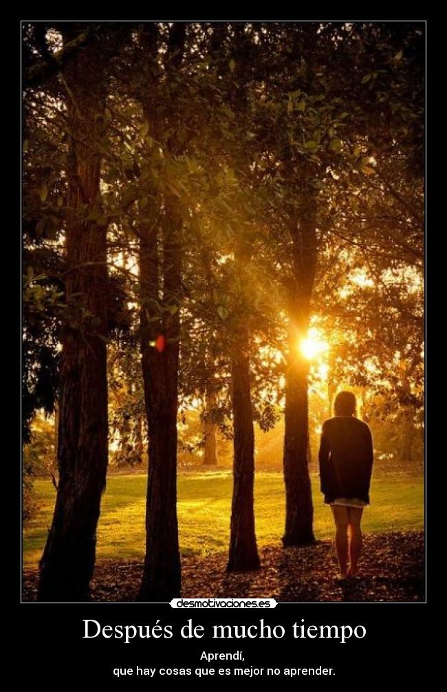 Después de mucho tiempo - Aprendí,
que hay cosas que es mejor no aprender.