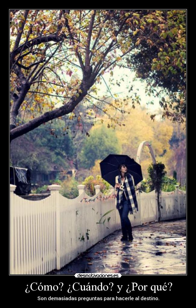 ¿Cómo? ¿Cuándo? y ¿Por qué? -