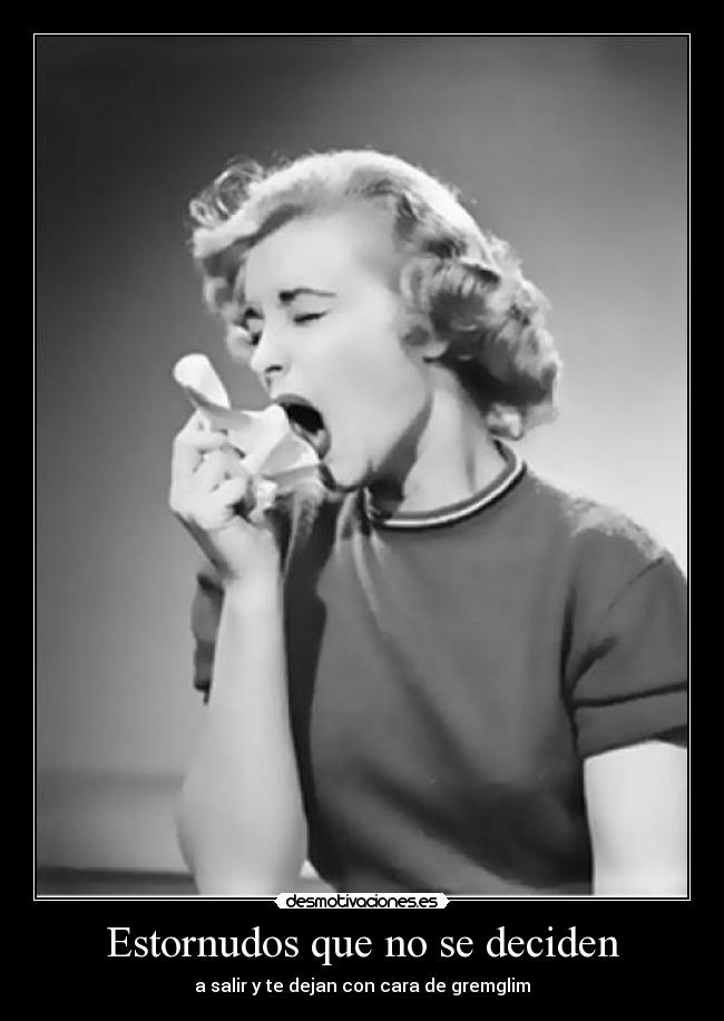 Estornudos que no se deciden -