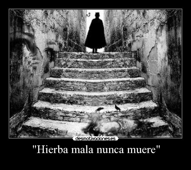 Hierba mala nunca muere -