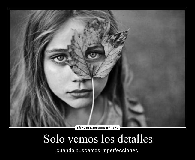 Solo vemos los detalles - cuando buscamos imperfecciones.