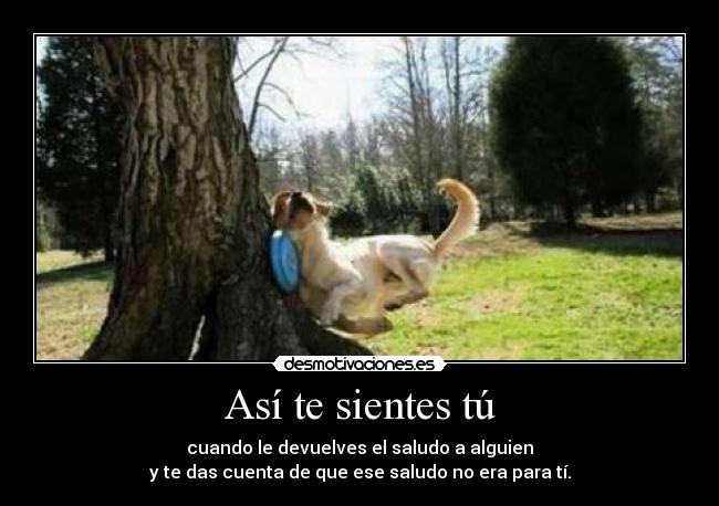 Así te sientes tú - cuando le devuelves el saludo a alguien
y te das cuenta de que ese saludo no era para tí.