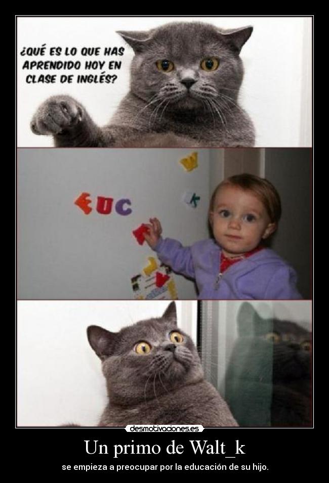 Un primo de Walt_k - se empieza a preocupar por la educación de su hijo.