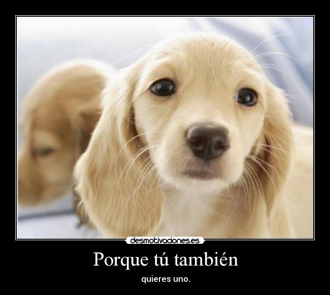 Porque tú también - quieres uno.