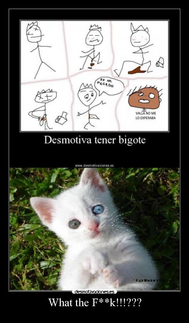 What the F**k!!!??? -