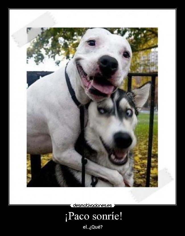 ¡Paco sonríe! -