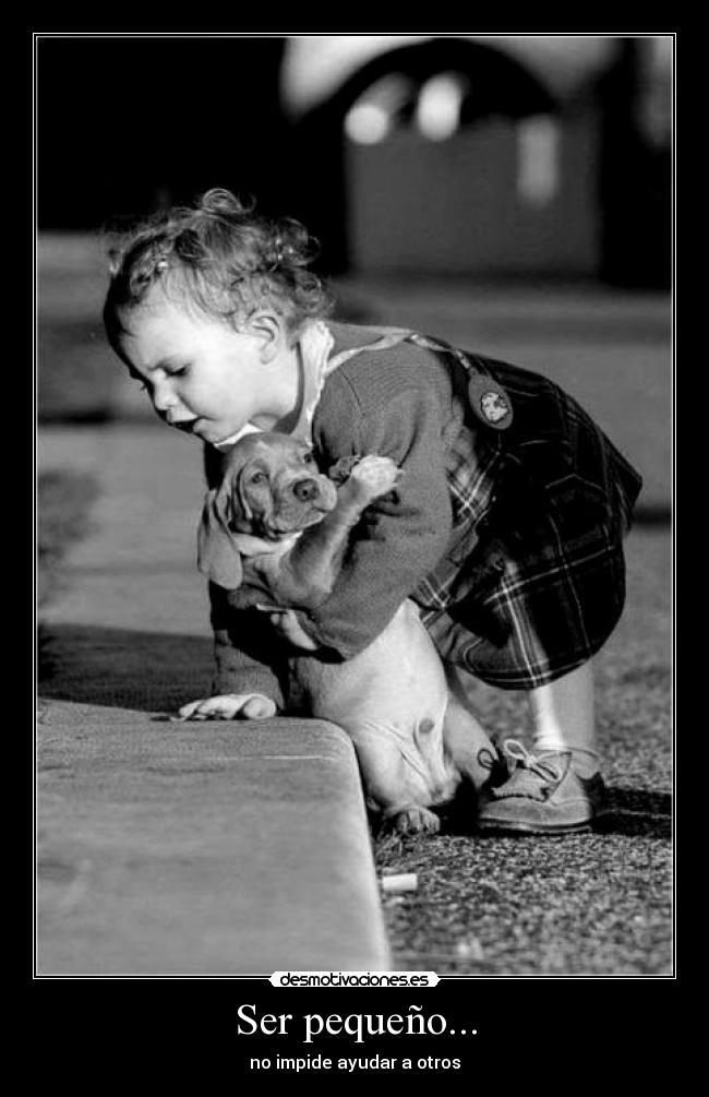 carteles - pinponbalabalalindo desmotivaciones