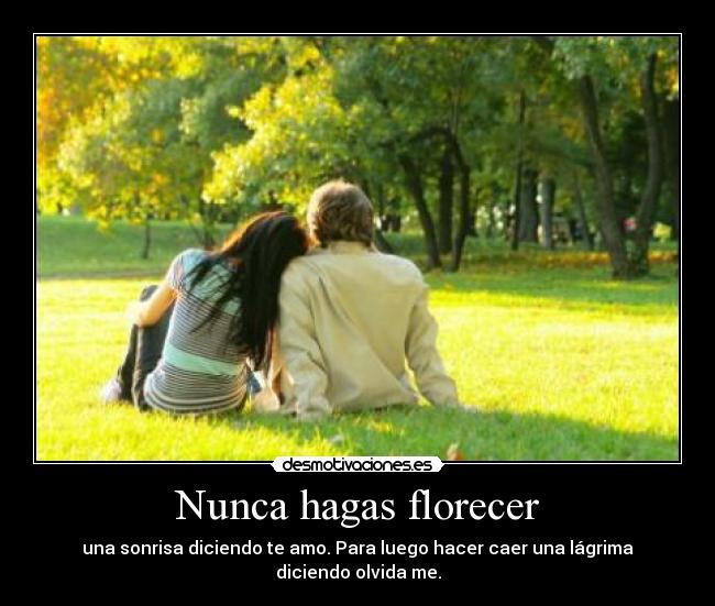 Nunca hagas florecer - una sonrisa diciendo te amo. Para luego hacer caer una lágrima diciendo olvida me.