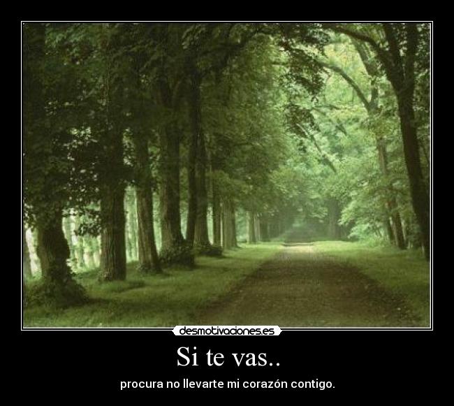 Si te vas.. -