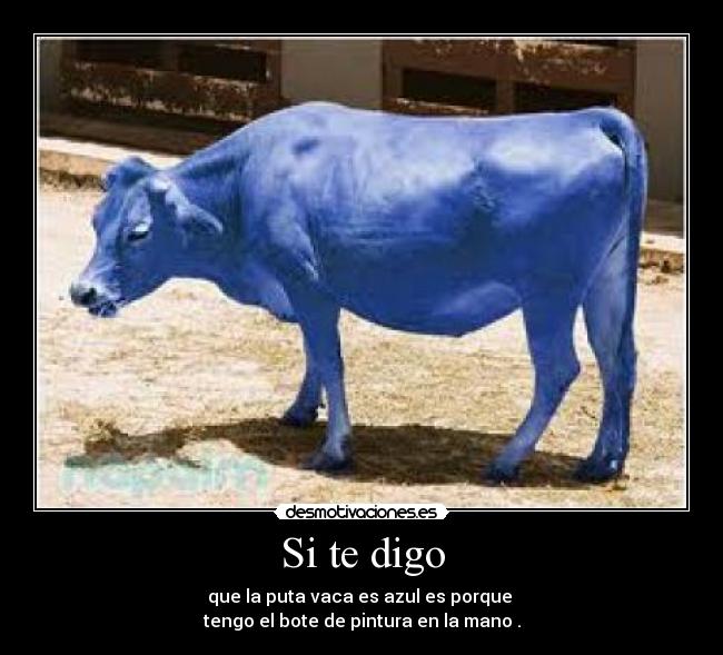 Si te digo - que la puta vaca es azul es porque 
tengo el bote de pintura en la mano .