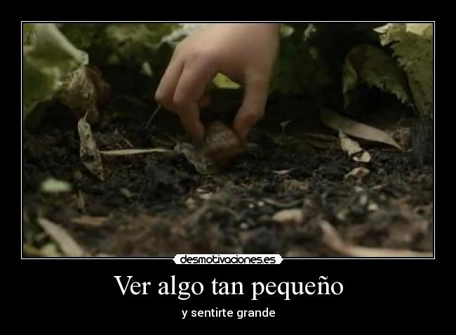 Ver algo tan pequeño - y sentirte grande