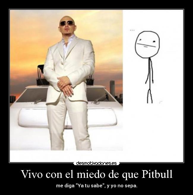 Vivo con el miedo de que Pitbull - me diga Ya tu sabe, y yo no sepa.
