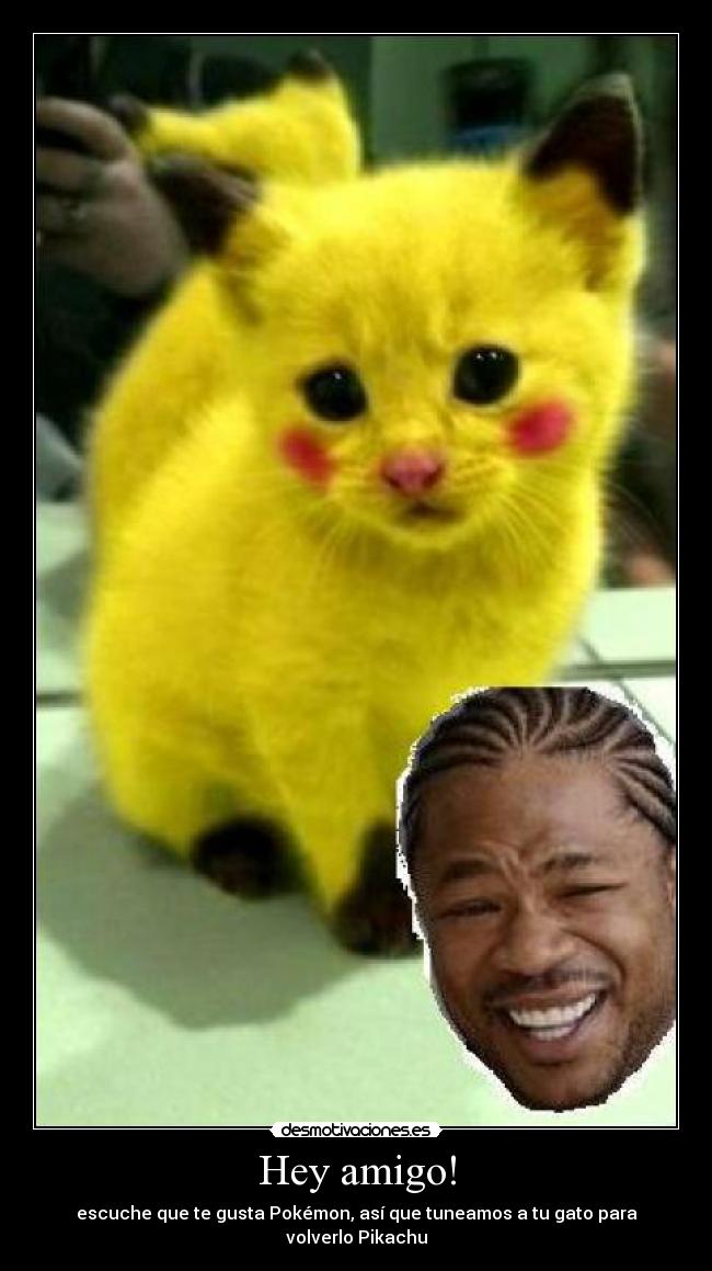 Hey amigo! - escuche que te gusta Pokémon, así que tuneamos a tu gato para volverlo Pikachu