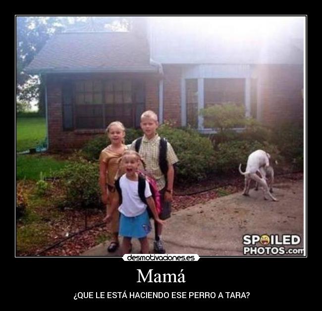 Mamá - ¿QUE LE ESTÁ HACIENDO ESE PERRO A TARA?