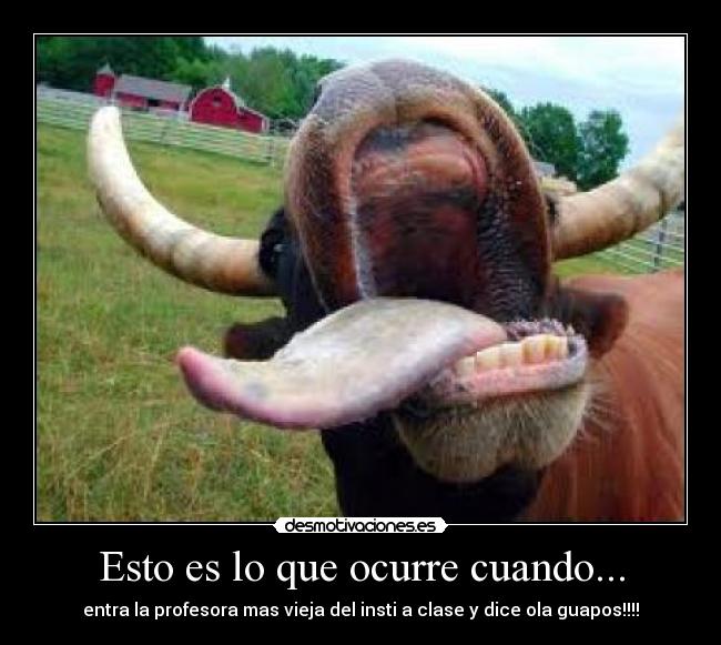 Esto es lo que ocurre cuando... -