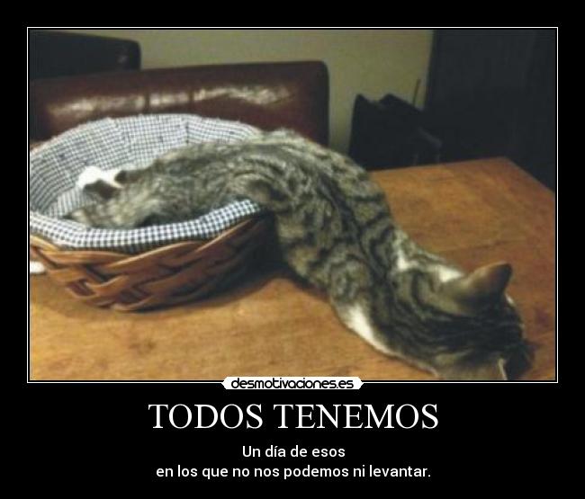 carteles dia hueva ugn2010 desmotivaciones