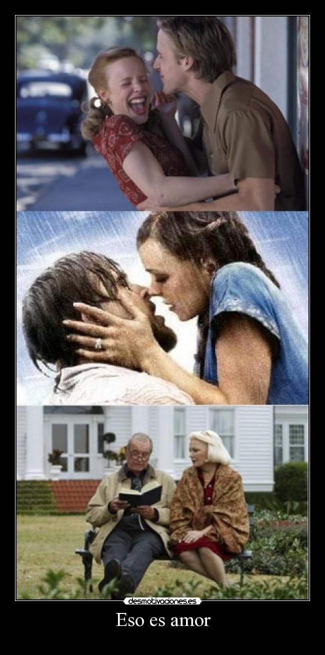 Eso es amor -