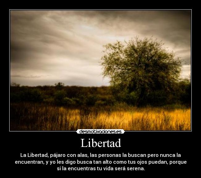 Libertad - La Libertad, pájaro con alas, las personas la buscan pero nunca la
encuentran, y yo les digo busca tan alto como tus ojos puedan, porque
si la encuentras tu vida será serena.