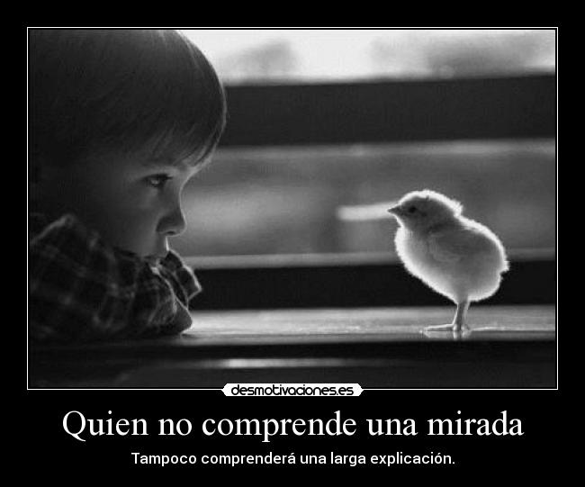 carteles nosequeetiquetasponerahora desmotivaciones