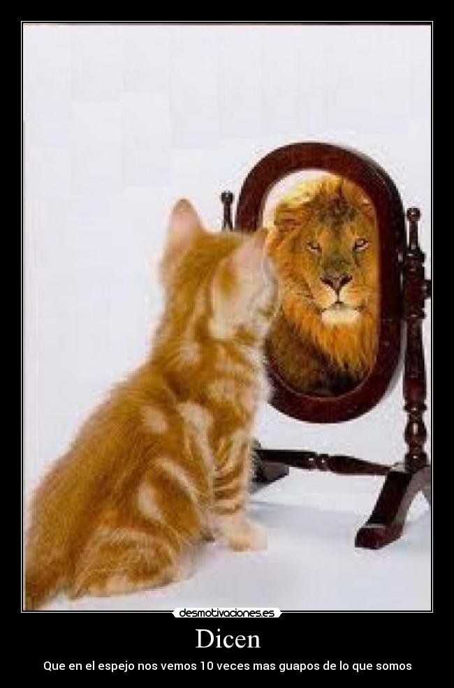 Dicen - Que en el espejo nos vemos 10 veces mas guapos de lo que somos