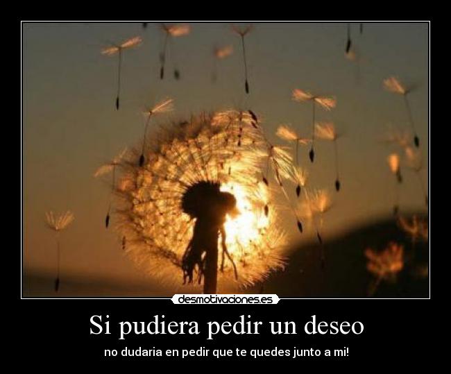 Si pudiera pedir un deseo - no dudaria en pedir que te quedes junto a mi!