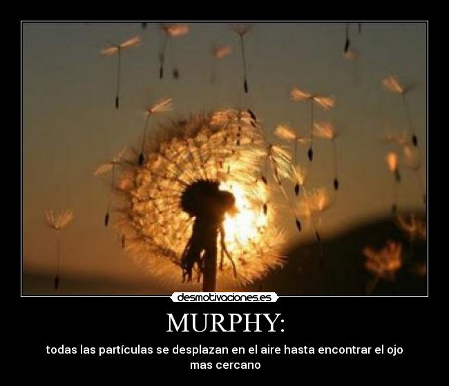 MURPHY: - todas las partículas se desplazan en el aire hasta encontrar el ojo mas cercano