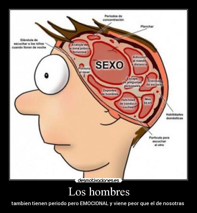 Los hombres - 