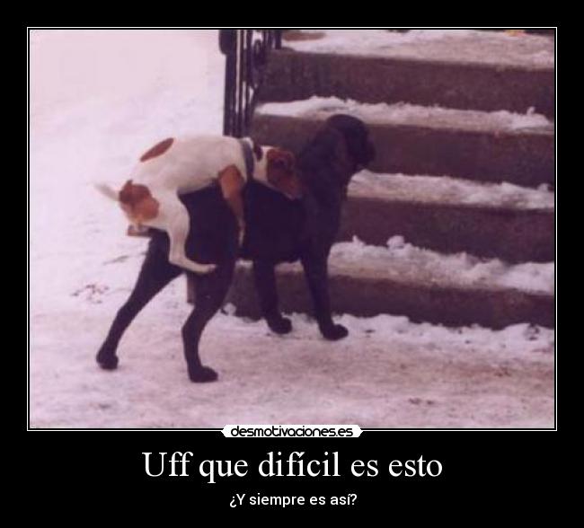 Uff que difícil es esto - ¿Y siempre es así?