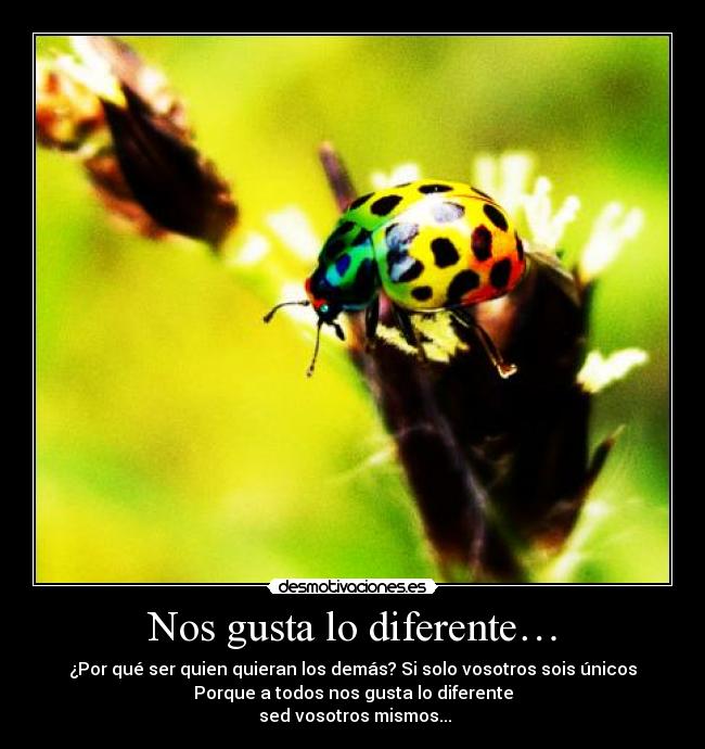 Nos gusta lo diferente… - ¿Por qué ser quien quieran los demás? Si solo vosotros sois únicos
Porque a todos nos gusta lo diferente
sed vosotros mismos...