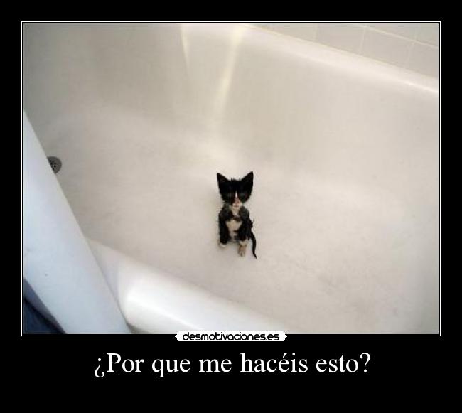 ¿Por que me hacéis esto? -