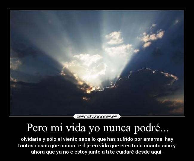 Pero mi vida yo nunca podré... - 