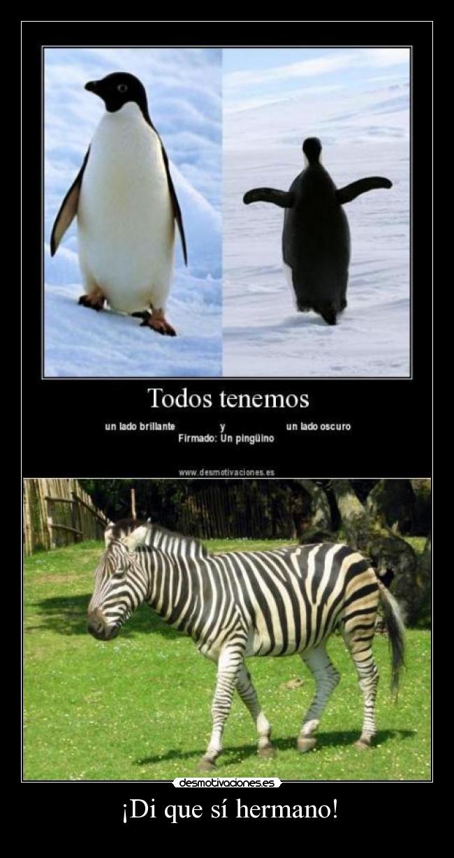 ¡Di que sí hermano! -