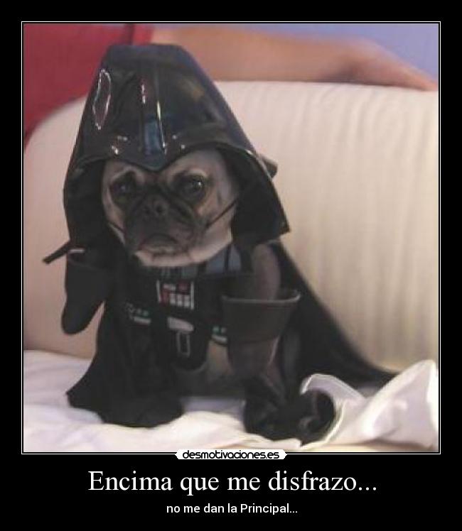 carteles perro darth vader encima que disfrazo dan principal cola bonito desmotivaciones