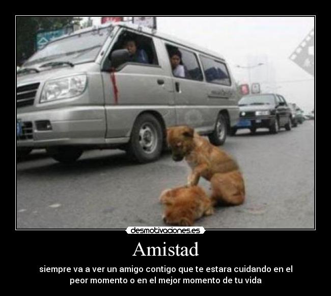 carteles amistad amistad desmotivaciones