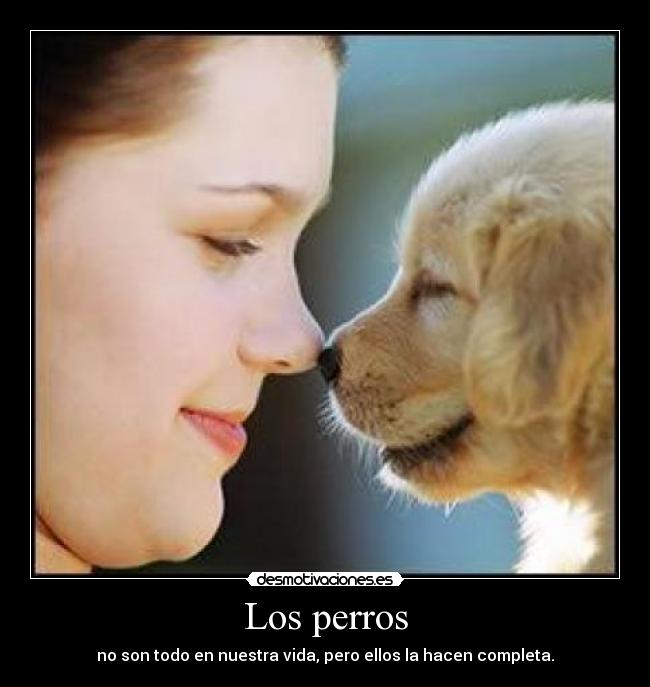 Los perros - 