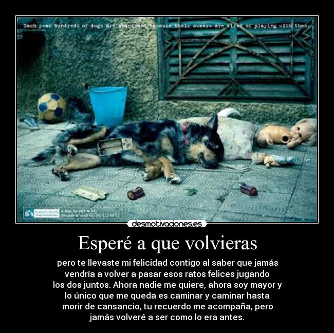 Esperé a que volvieras - pero te llevaste mi felicidad contigo al saber que jamás
vendría a volver a pasar esos ratos felices jugando
los dos juntos. Ahora nadie me quiere, ahora soy mayor y
lo único que me queda es caminar y caminar hasta
morir de cansancio, tu recuerdo me acompaña, pero
jamás volveré a ser como lo era antes.