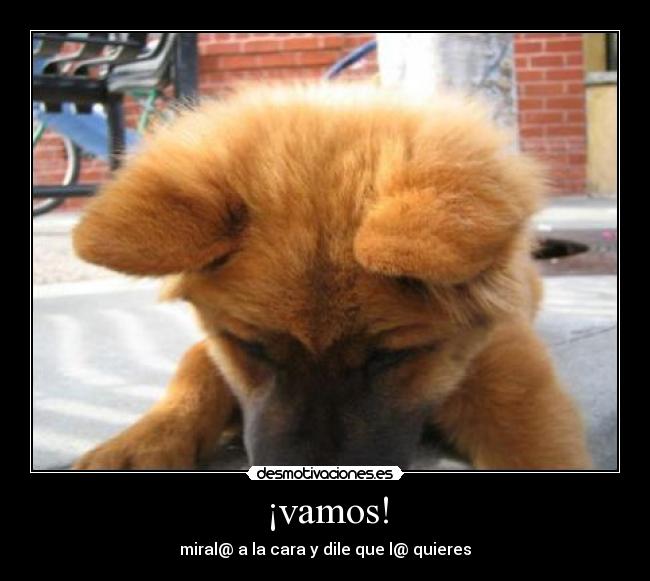 ¡vamos! - miral@ a la cara y dile que l@ quieres