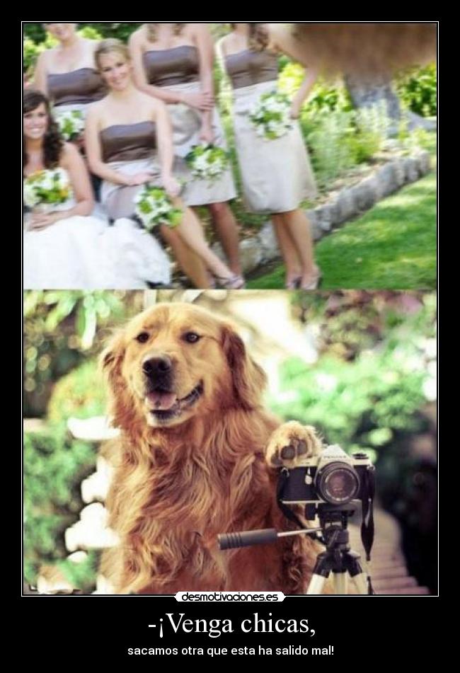 -¡Venga chicas, -