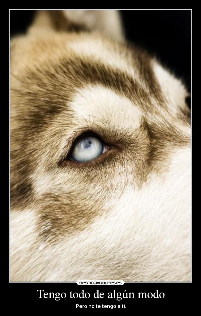 Tengo todo de algún modo -