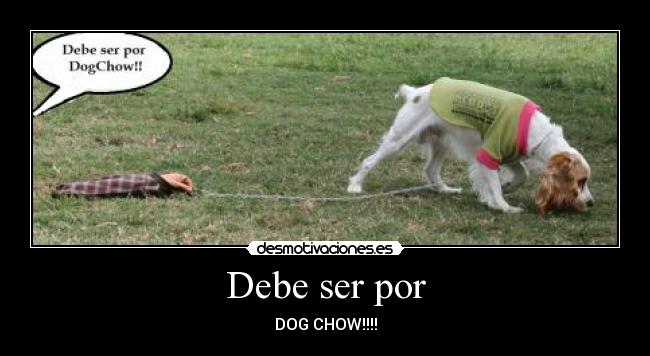 Debe ser por - DOG CHOW!!!!