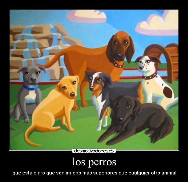 los perros - que esta claro que son mucho más superiores que cualquier otro animal