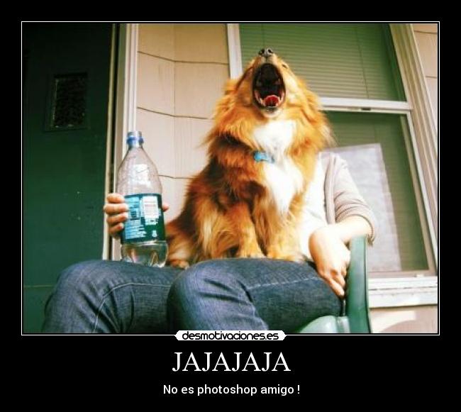 carteles snap photo desmotivaciones