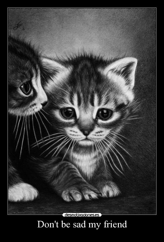 Dont be sad my friend -