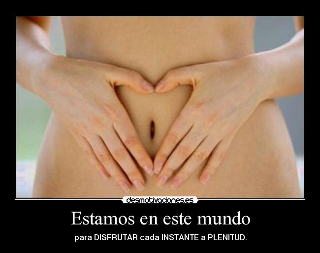 carteles mundo disfrutar desmotivaciones