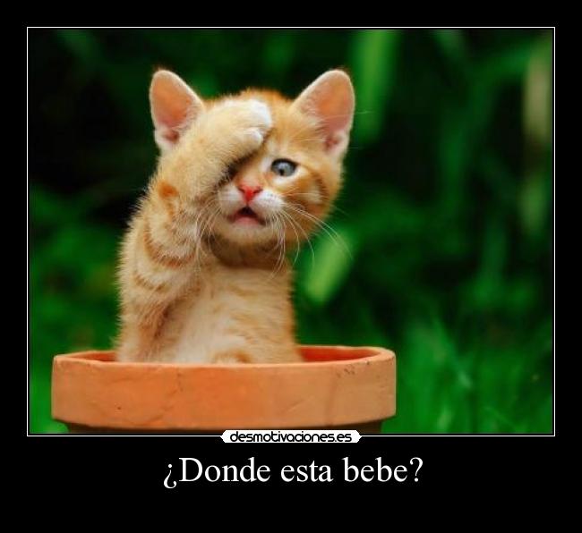 ¿Donde esta bebe? -