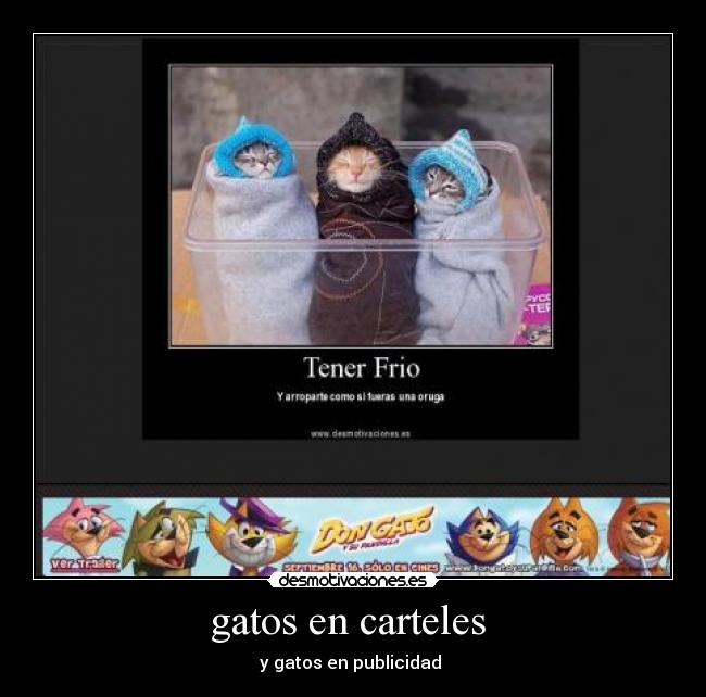gatos en carteles - y gatos en publicidad