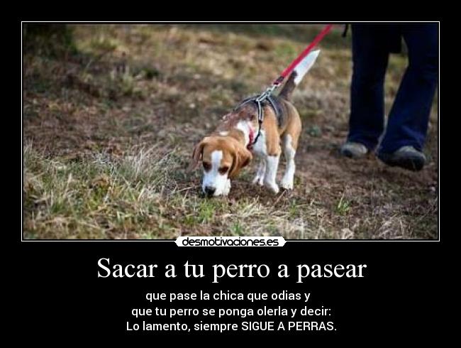 Sacar a tu perro a pasear - que pase la chica que odias y  
que tu perro se ponga olerla y decir:
Lo lamento, siempre SIGUE A PERRAS.