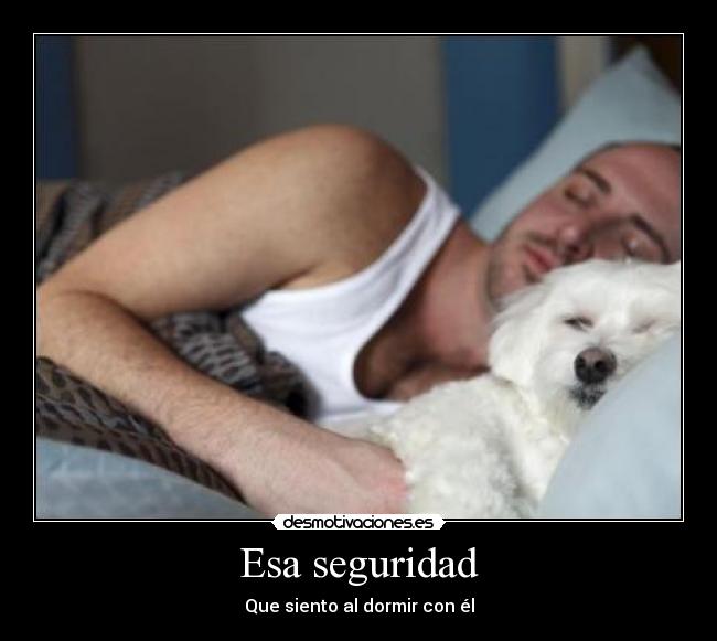 Esa seguridad - 